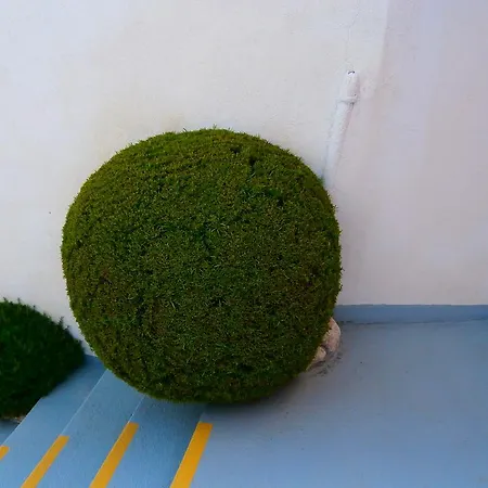 Milena-miki Apartmán *