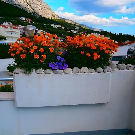 Milena-miki * Makarská