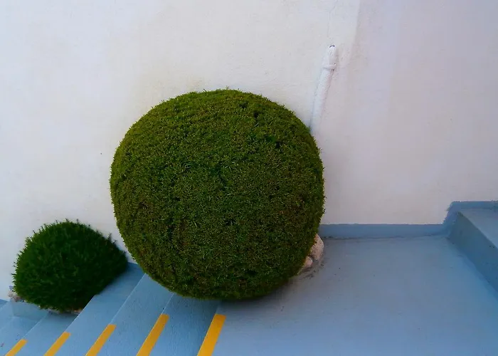 Milena-miki Appartement *