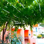 דירה Milena-miki מאקרסקה